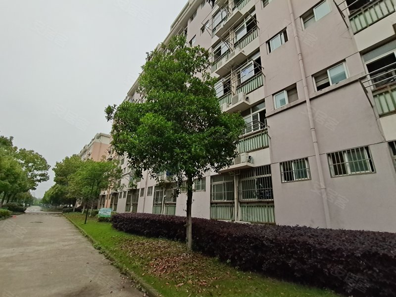 奇瑞城北公寓,长山路,近尖山路-芜湖奇瑞城北公寓二手房,租房,房价