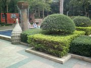 红岗花园小区图片