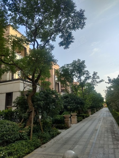 象屿虹桥悦府,伴亭路855弄-达州象屿虹桥悦府二手房,租房,房价-达州