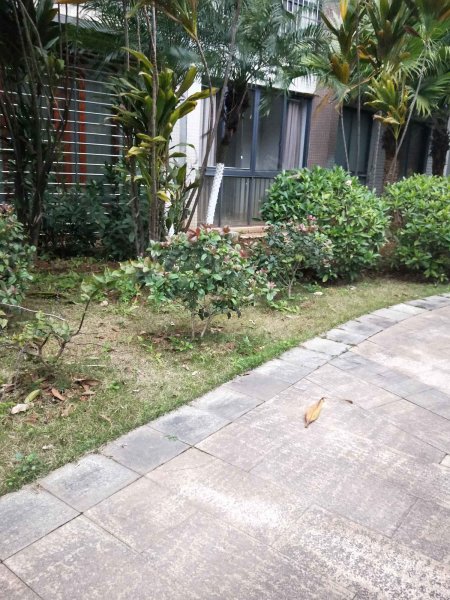 乐和紫云华府(公寓住宅)