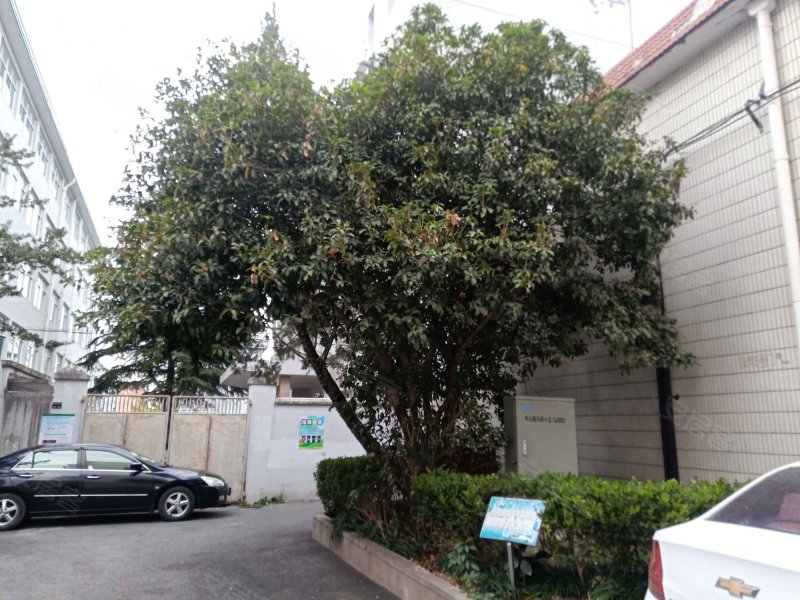 中山路56弄小区 