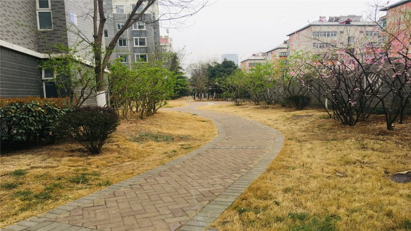 鲍德现代逸城,解放东路34-1号-济南鲍德现代逸城二手房,租房,房价