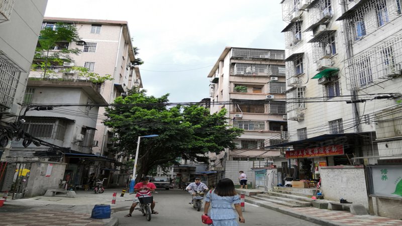 沙河顶新二街小区,沙河顶新二街-广州沙河顶新二街小区二手房,租房