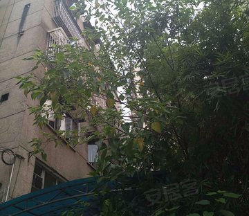 红花东路55号院