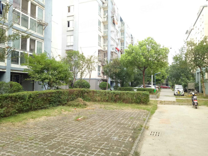 绿杨新苑(西区,绿杨路-扬州绿杨新苑(西区)二手房,租房,房价-扬州