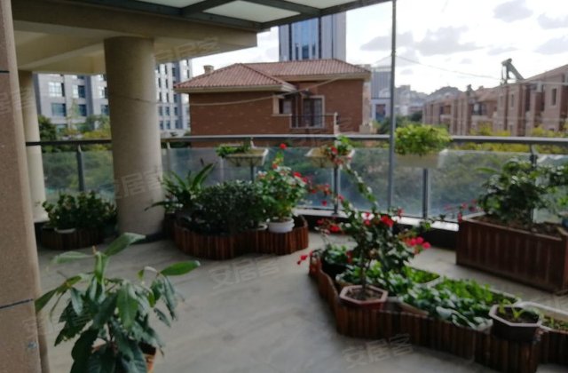 山海华府,山海街6号-舟山山海华府二手房,租房,房价-舟山安居客