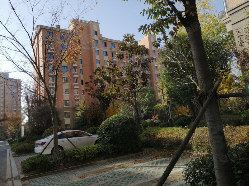 龙庭国际绣泽苑,黄海路,近西湖路-宿迁龙庭国际绣泽苑二手房,租房