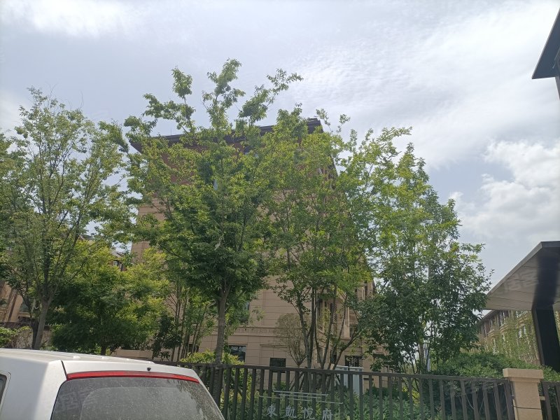 东凯悦府,南一路-东营东凯悦府二手房,租房,房价-东营安居客