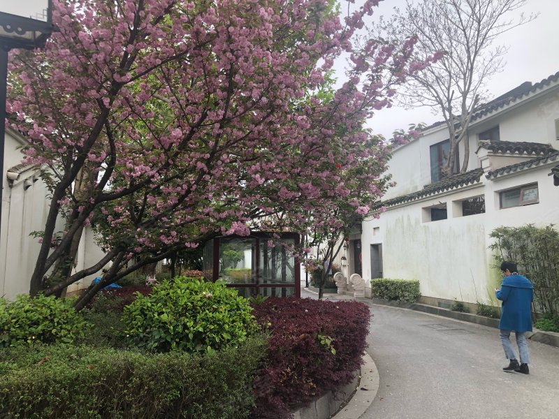 苏州庭园(西区)