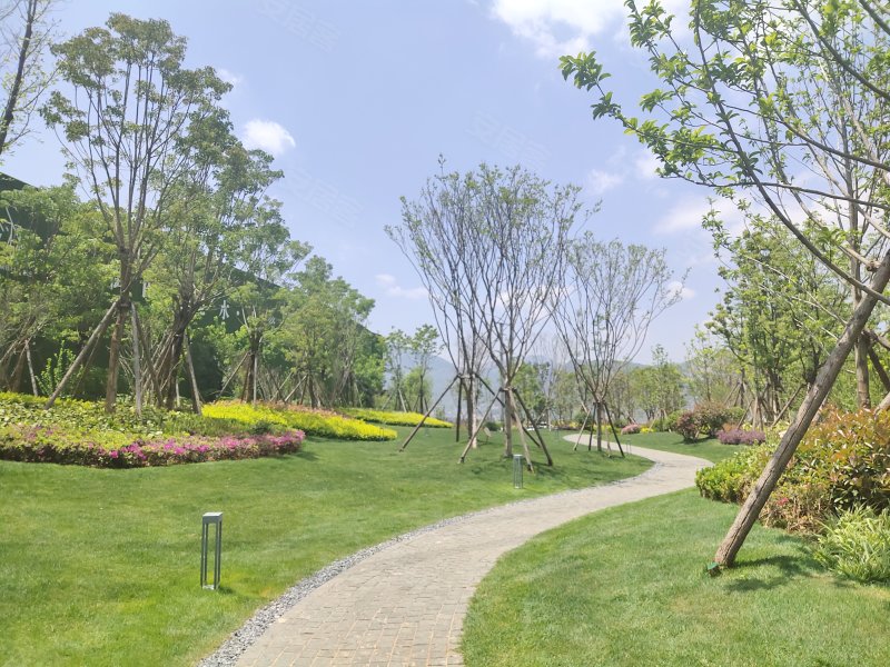 实地昆明花鹤翎