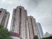 洪湖小区图片