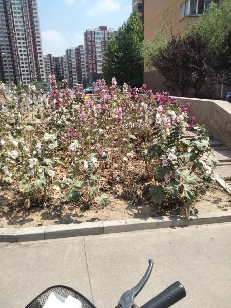 漪汾花园,滨河西路-临汾漪汾花园二手房,租房,房价-临汾安居客