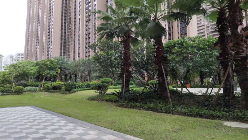 金穗花园(三水),三兴路1号-佛山金穗花园(三水)二手房,租房,房价-佛山