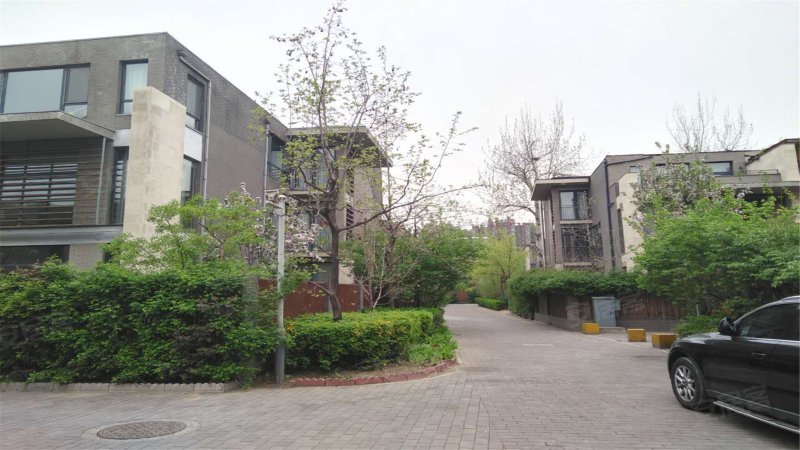 领秀新硅谷ab区(别墅)