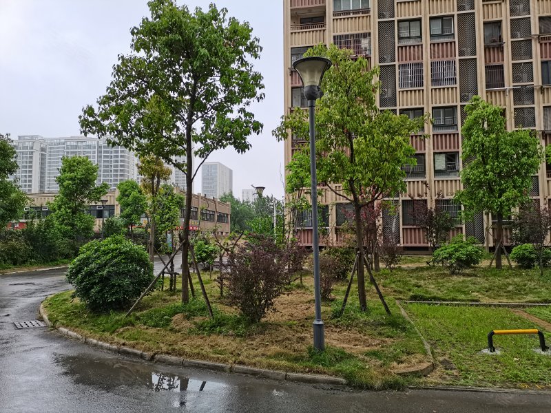 顺安南苑,顺安路,近华中东路-安庆顺安南苑二手房,租房,房价-安庆安居