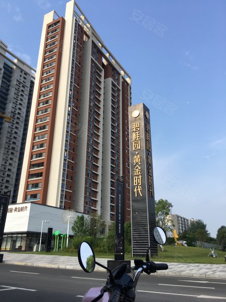 碧桂园黄金时代