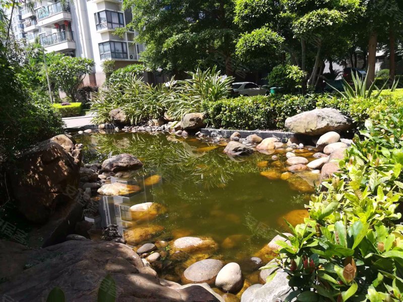 美林湾(西区),卢滨路639号-福州美林湾(西区)二手房,租房,房价-福州