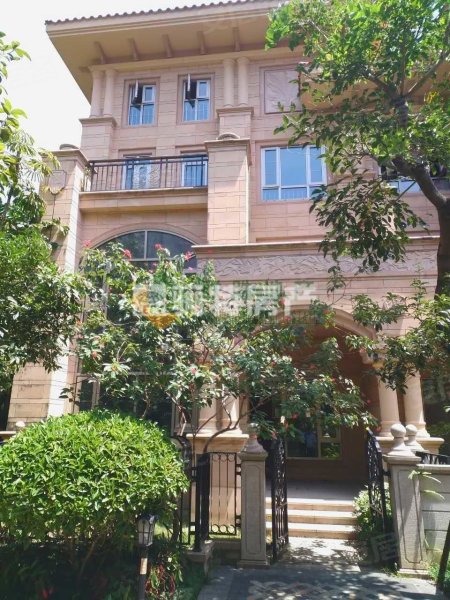 融信大卫城a区(别墅)