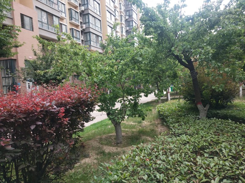 新洲中央街区城上城,仓程路,近胜利大街-渭南新洲中央街区城上城二手