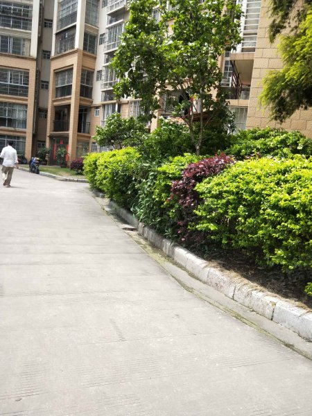 金河湾,潭中西路-柳州金河湾二手房,租房,房价-柳州安居客