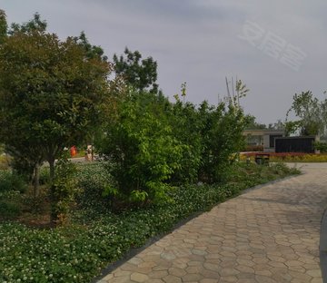 常府街35号小区
