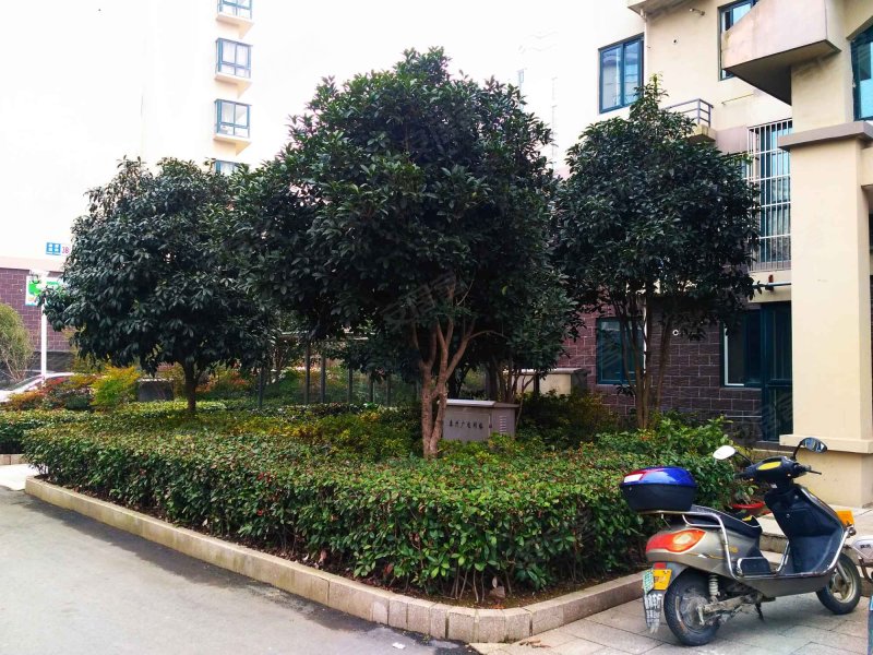 康居新城(西苑),白野线-泰州康居新城(西苑)二手房,租房,房价-泰州