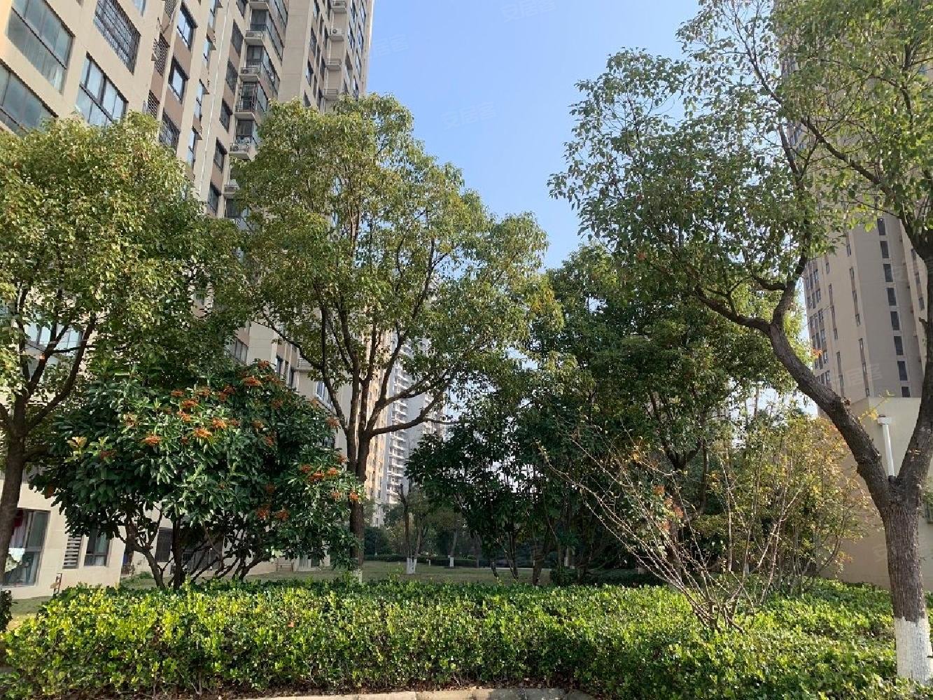句容 宝华 碧桂园翡翠华府三房2卫地暖带车位 有密码随时看房