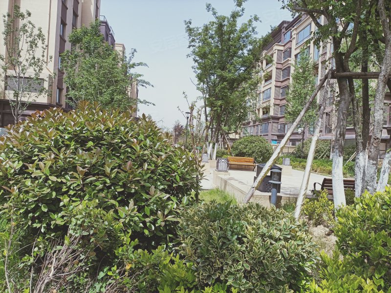 涌泰澜湾,运河路-济宁涌泰澜湾二手房,租房,房价-济宁安居客