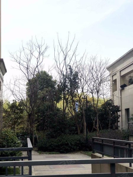 嘉盛龙庭,聚贤路-嘉兴嘉盛龙庭二手房,租房,房价-嘉兴安居客