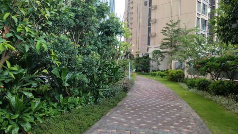 中粮云景花园(南区)