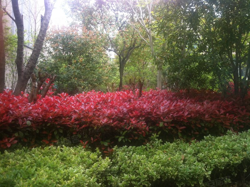 白金院邸(别墅) 