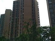 螺洲新城(二区) 出行方便 小区新 得房好 满二 临地铁