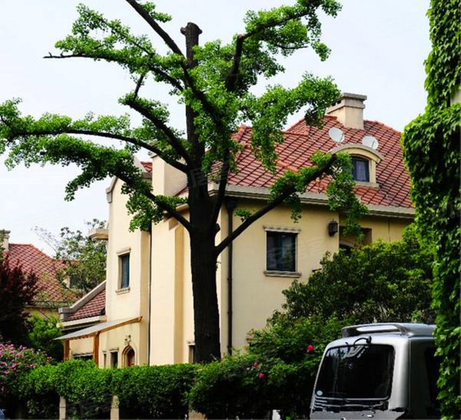 霞飞别墅,武康路333号-马鞍山霞飞别墅二手房,租房,房价-马鞍山安居客