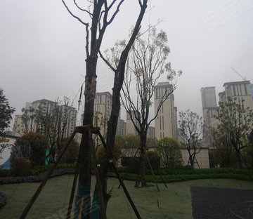 碧桂园西南上城博士府