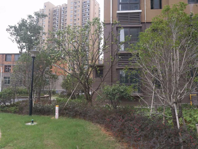 梅湖明珠,南莲路690号-南昌梅湖明珠二手房,租房,房价-南昌安居客