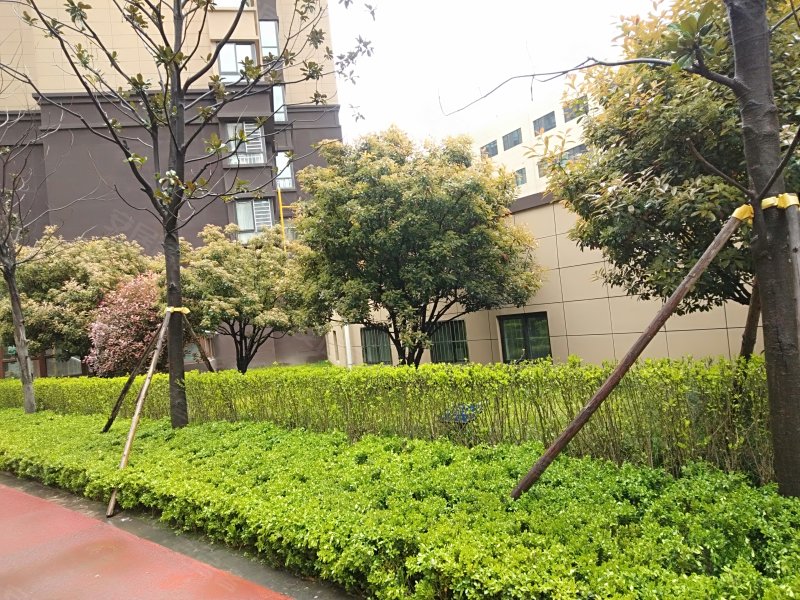 中房阳光美域,滨河西路-咸阳中房阳光美域二手房,租房,房价-咸阳安居