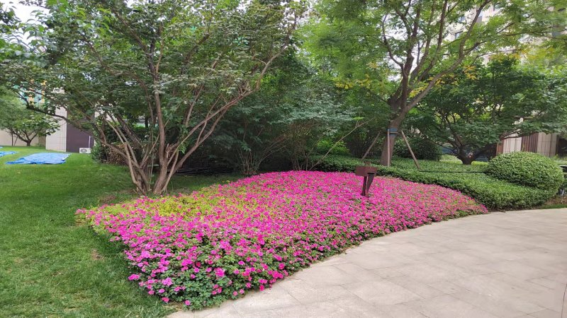 亦庄金茂府,博兴西路-北京亦庄金茂府二手房,租房,房价-北京安居客