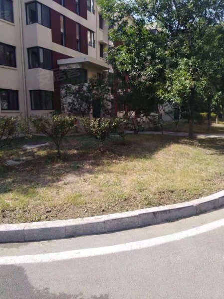 馨苑社区,新台路,近昆明路-青岛馨苑社区二手房,租房,房价-青岛安居客