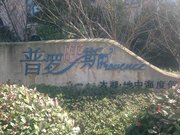 临湖镇小区图片