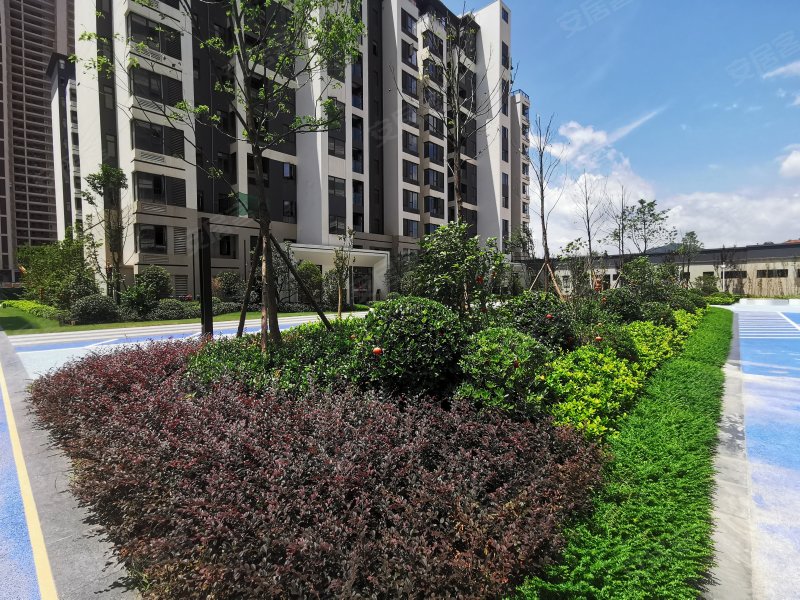 佳兴锦园,天马山大道-赣州佳兴锦园二手房,租房,房价-赣州安居客