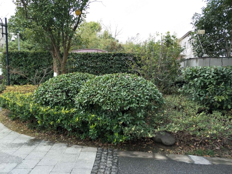 浦江颐城(公寓住宅) 