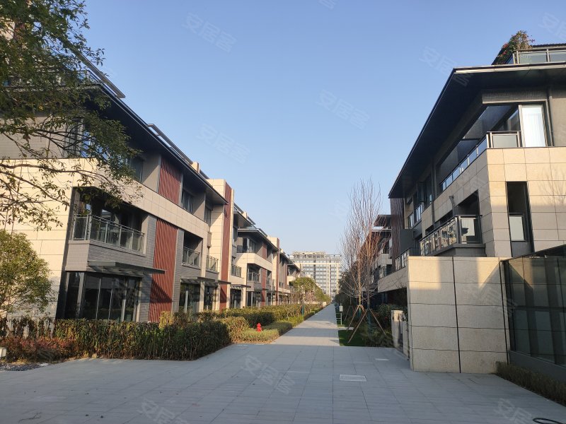 安展蔚然家园,政通路,近河清路-芜湖安展蔚然家园二手房,租房,房价