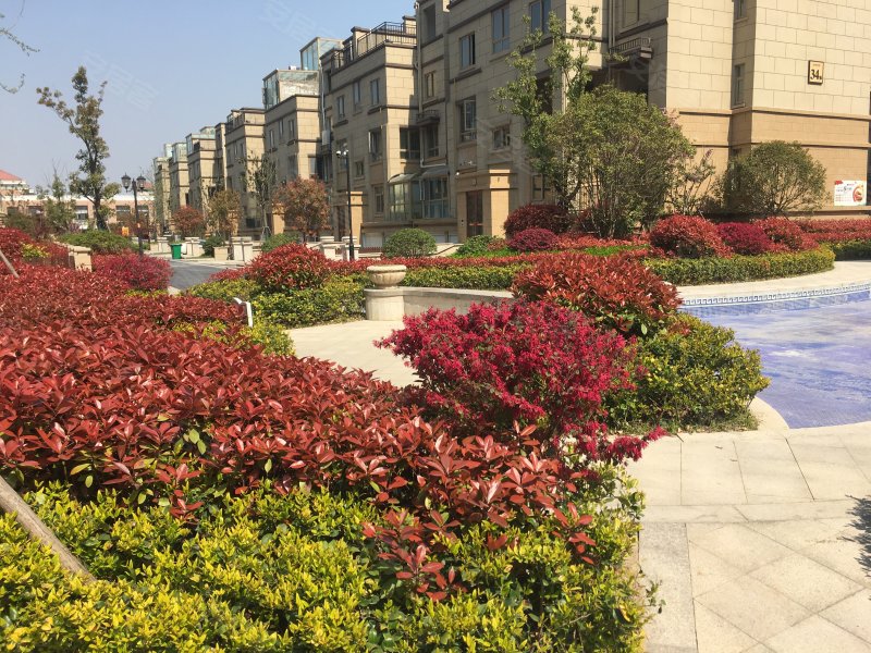 中南世纪城(3期)