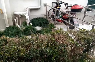 博一小区(2支弄)