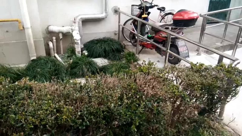 博一小区(2支弄) 