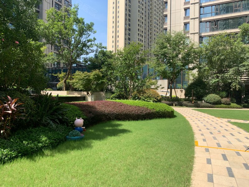 三江立体城黑珍珠