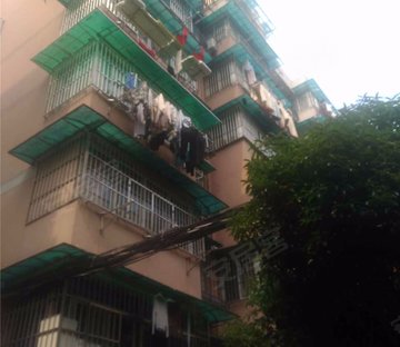 凯旋/采荷小区图片