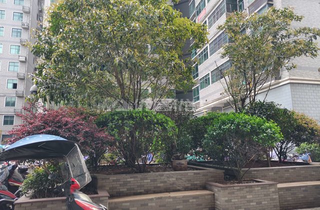 衡阳房产网>衡阳小区>蒸湘小区>解放西路小区>依山美郡>