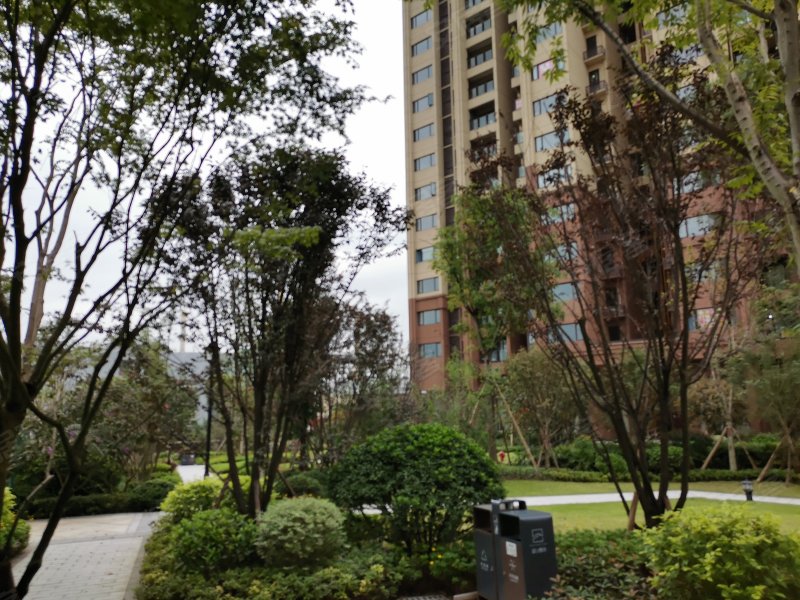 望山国际,创业大道129号-重庆望山国际二手房,租房,房价-重庆安居客