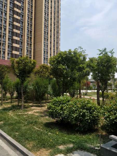 菱花富贵园,杨柳街-济宁菱花富贵园二手房,租房,房价-济宁安居客